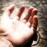 Wife's body found in fields, she had called her husband before committing suicide, news from Hamirpur, Himachal Pradesh