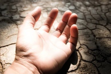 Wife's body found in fields, she had called her husband before committing suicide, news from Hamirpur, Himachal Pradesh